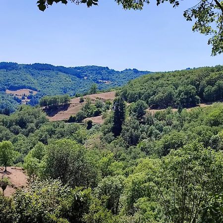 Maison Charmante A Florentin La Capelle Avec Jardin Et Vue Montagne Dış mekan fotoğraf