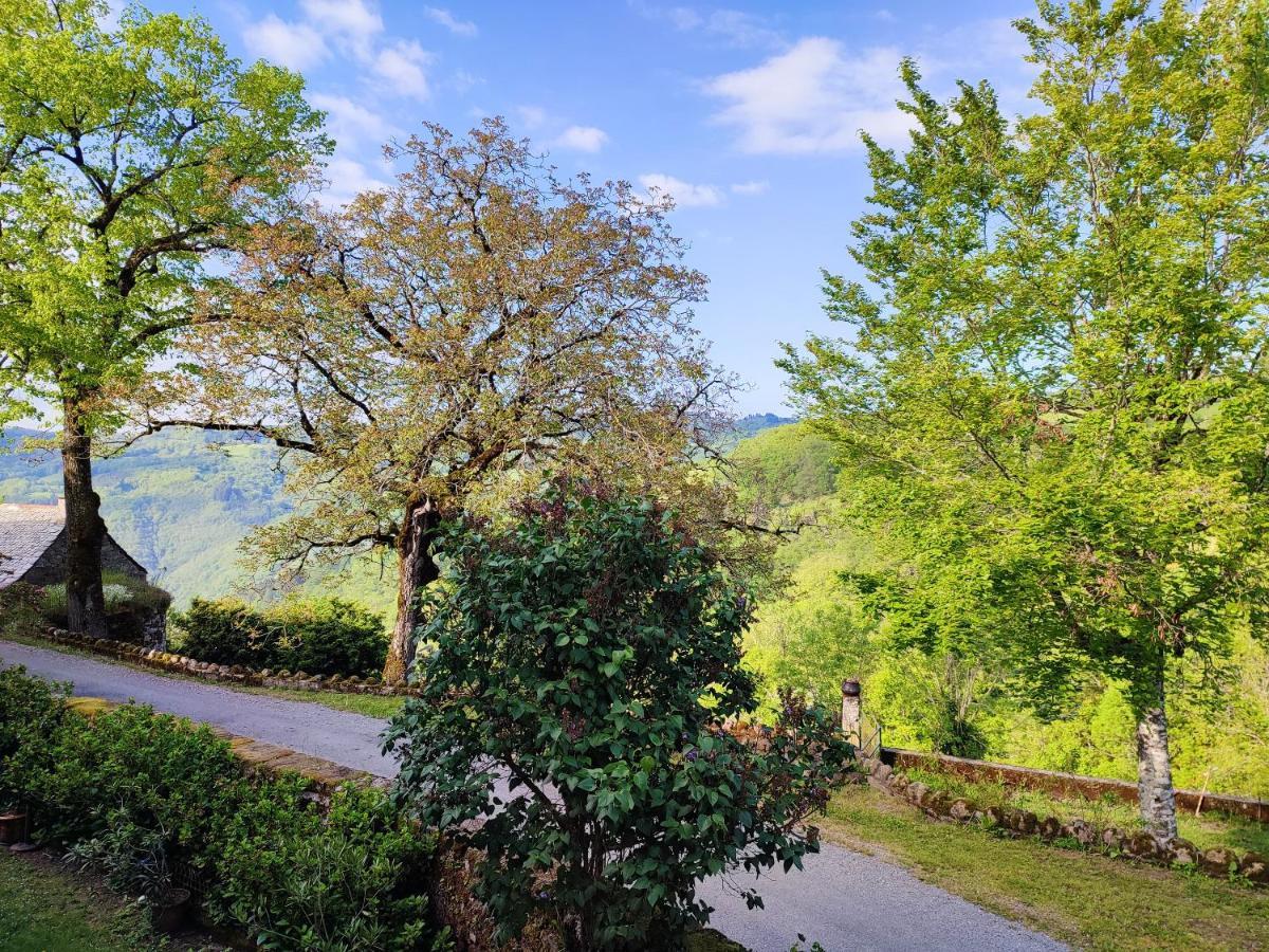 Maison Charmante A Florentin La Capelle Avec Jardin Et Vue Montagne Dış mekan fotoğraf
